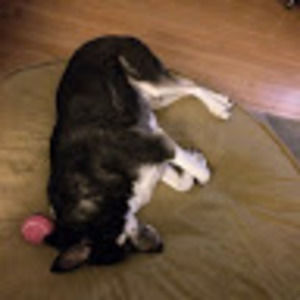 Meet your Posher, Ikkin